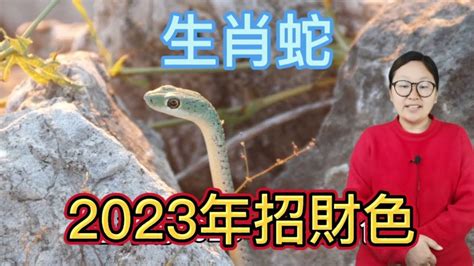 蛇的幸運顏色|【屬蛇 顏色】屬蛇2024專屬配色攻略：揭密幸運色和禁忌色，助。